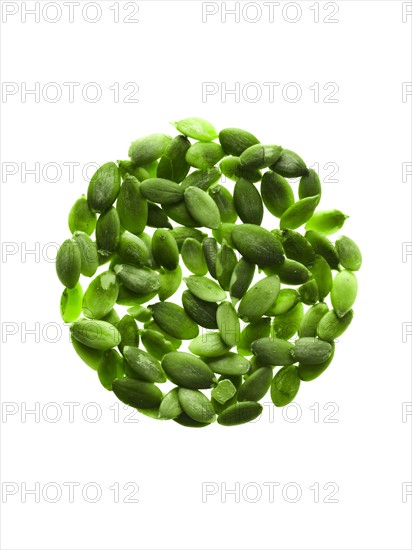 Studio shot of Pumpkin Seed on white background. Photo: David Arky