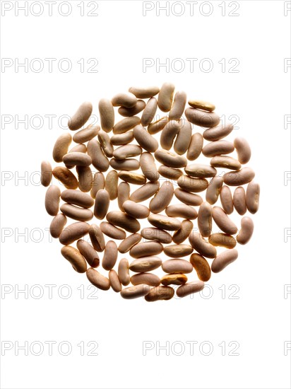 Studio shot of White Bean Seed on white background. Photo : David Arky