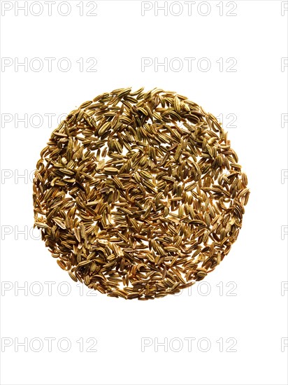 Studio shot of Fennell Seeds on white background. Photo : David Arky