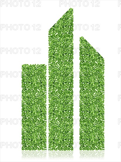 Studio shot of Bean Seeds making bar graphs on white background. Photo : David Arky