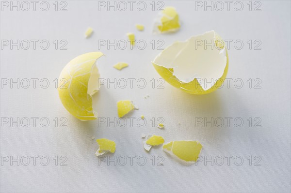 Cracked Easter eggshell. Photo: Chris Hackett