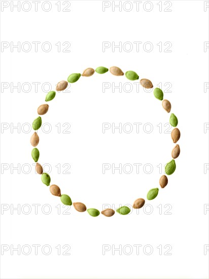 Studio shot of Pumpkin Seeds on white background. Photo: David Arky