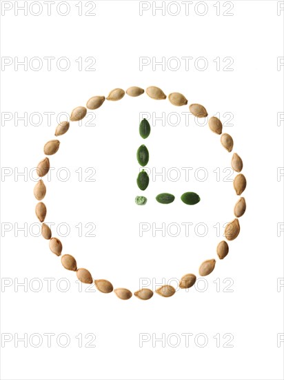 Studio shot of Pumpkin Seeds in shape of clock on white background. Photo : David Arky