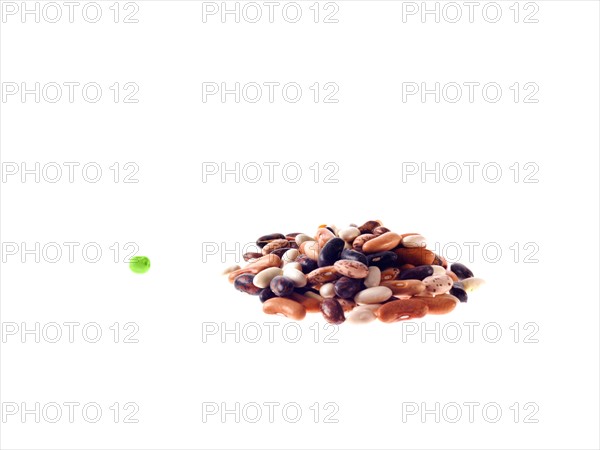 Studio shot of Mixed Seeds on white background. Photo : David Arky