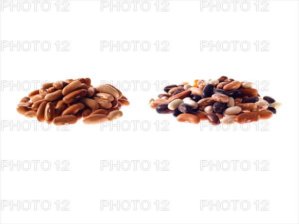 Studio shot of Mixed Seeds on white background. Photo : David Arky