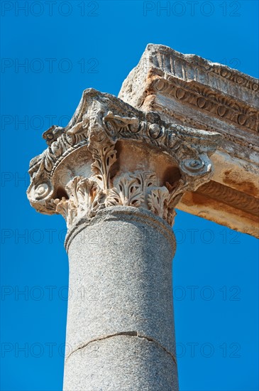 Turkey, Ephesus, Corinthian column.