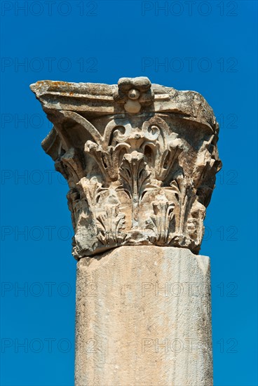 Turkey, Ephesus, Corinthian column.