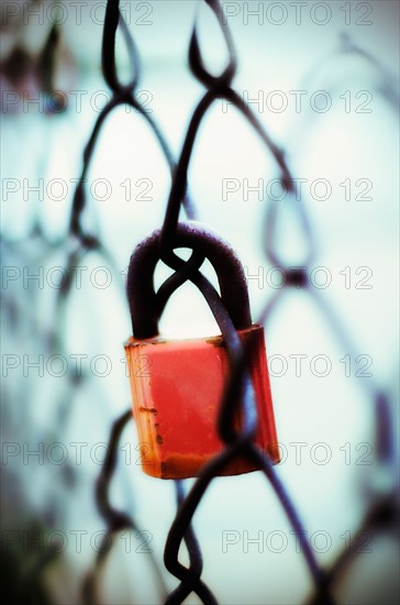 Padlock on chainlink fence.