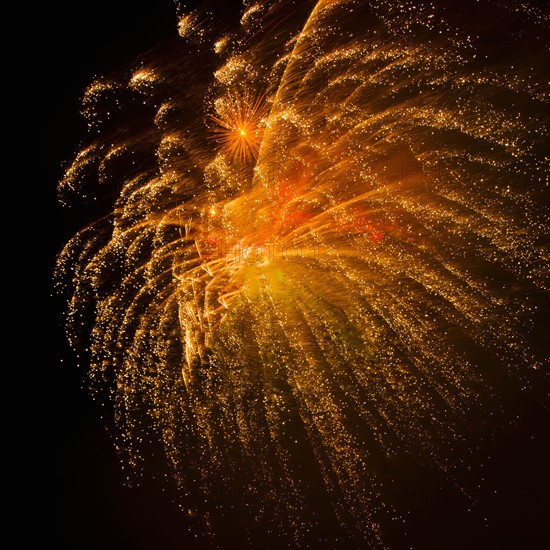 Fireworks explosion against night sky.