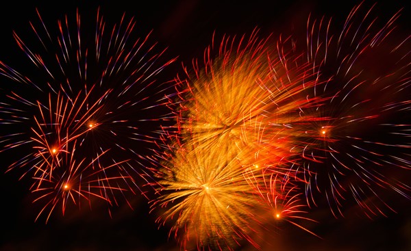 Fireworks explosion against night sky.