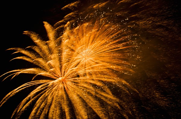 Fireworks explosion against night sky.