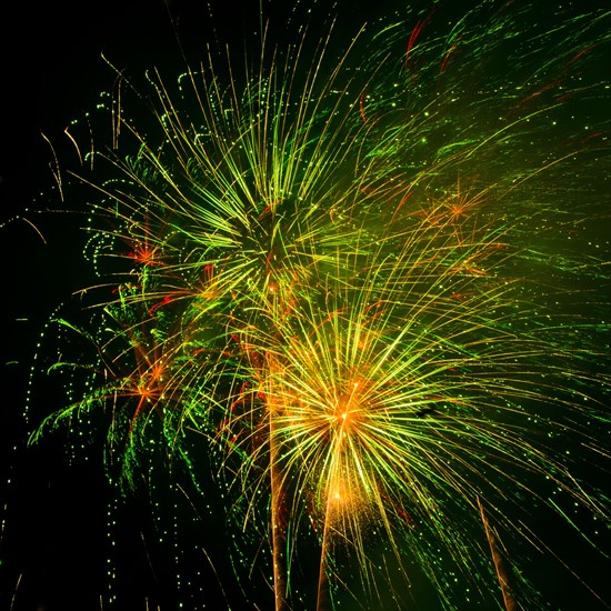 Fireworks explosion against night sky.