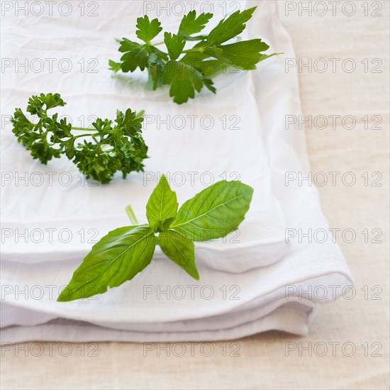 Fresh herbs on napkin.