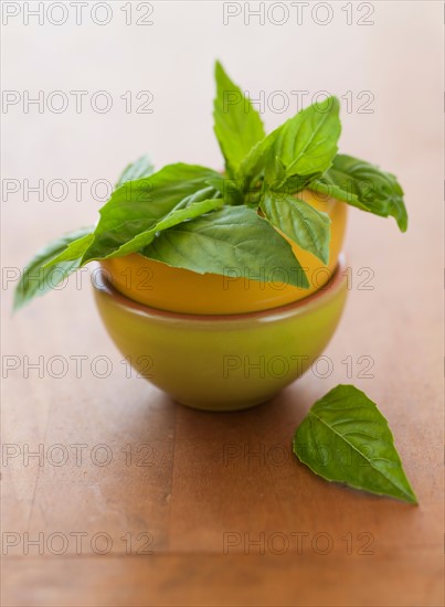 Fresh basil in bowl on table.