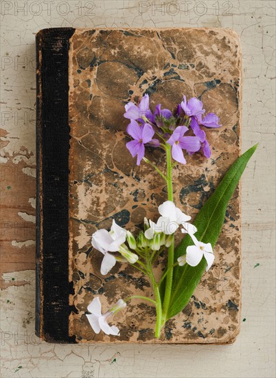 Flowers on old book.