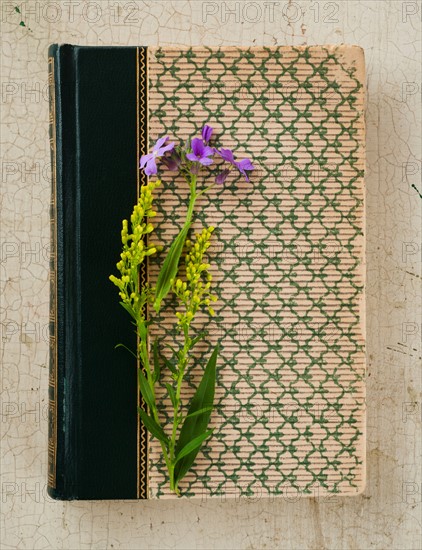 Flowers on old book.