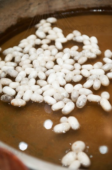 Turkey, Ephesus, Silk cocoons for rug weaving.