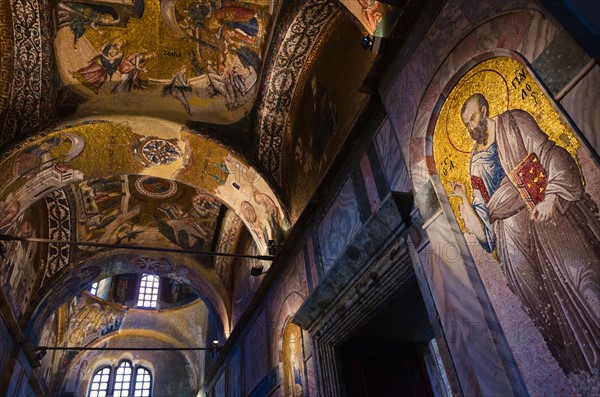 Turkey, Istanbul, Church of St Saviour in Chora interior.