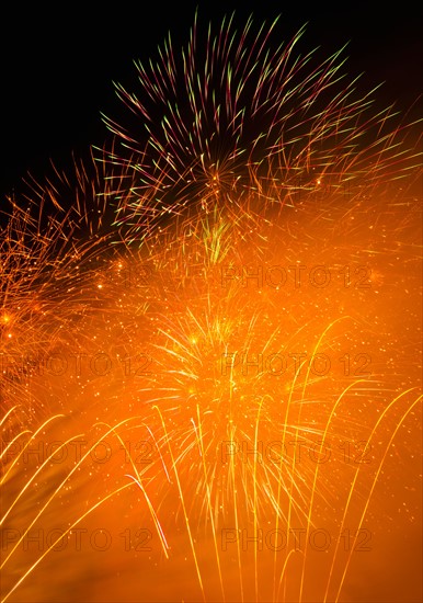 Fireworks explosion against night sky.