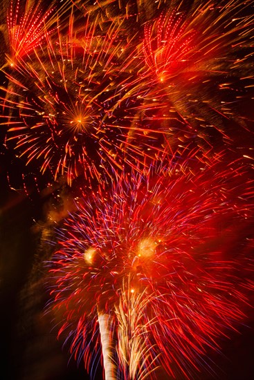 Fireworks explosion against night sky.