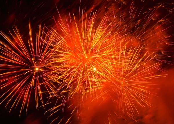 Fireworks explosion against night sky.