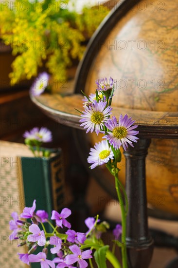 Flowers with antique globe and books.
