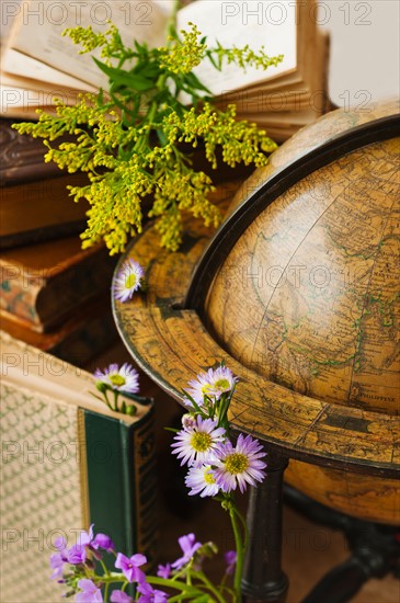 Flowers with antique globe and books.