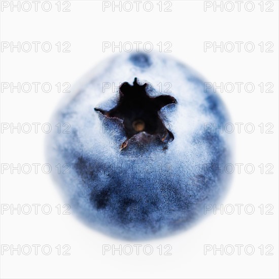 Blueberry on white background.