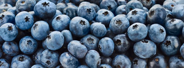 Blueberries.