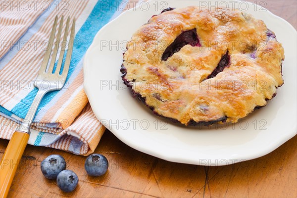 Home made blueberry pie with blueberries.