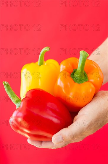 Hands holding bell peppers.