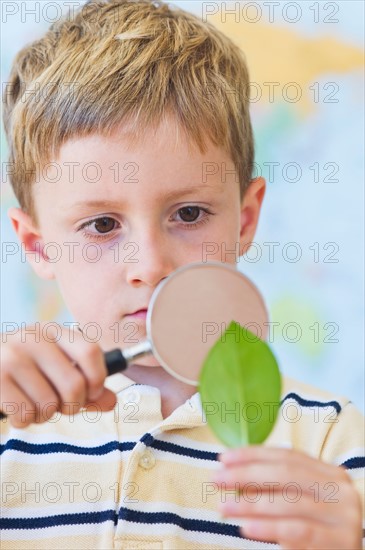 Close up of boy (4-5) looking at leaf through magnifying glass. Photo : Daniel Grill