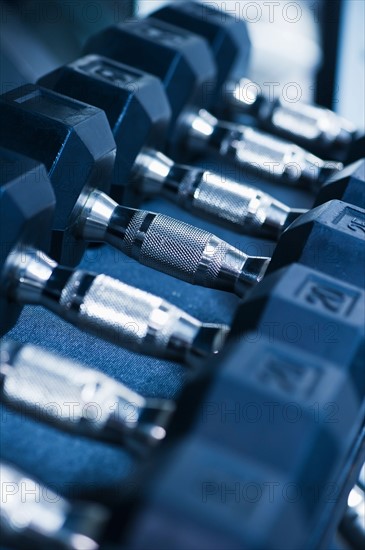 Row of dumbbells in gym. Photo : Daniel Grill