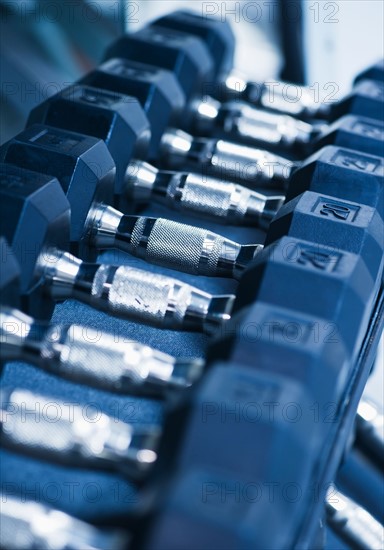 Row of dumbbells in gym. Photo : Daniel Grill