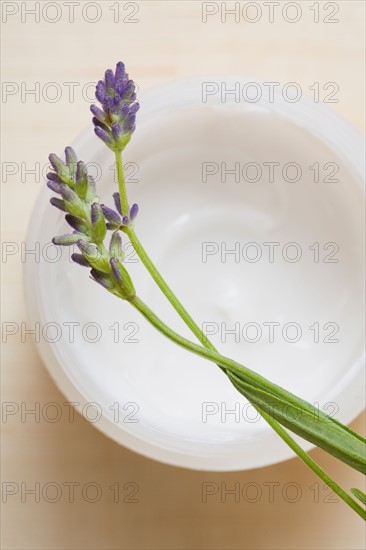 Studio shot of fresh lavender with bowl. Photo : Kristin Lee