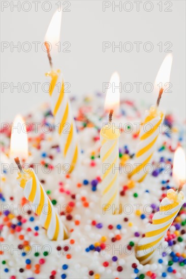 Cupcake with birthday candles. Photo : Jamie Grill