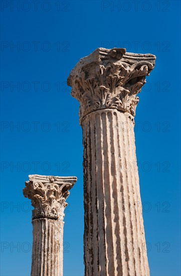 Turkey, Ephesus, Corinthian columns.