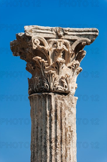 Turkey, Ephesus, Corinthian column.