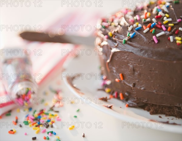 Close up of chocolate cake with sprinkles. Photo: Jamie Grill