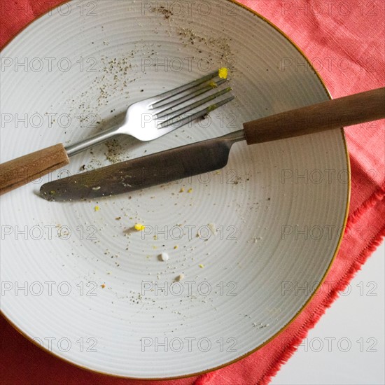 Close up of empty plate after meal. Photo : Jamie Grill