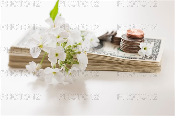 Flowers and coins on pile of dollar bills.