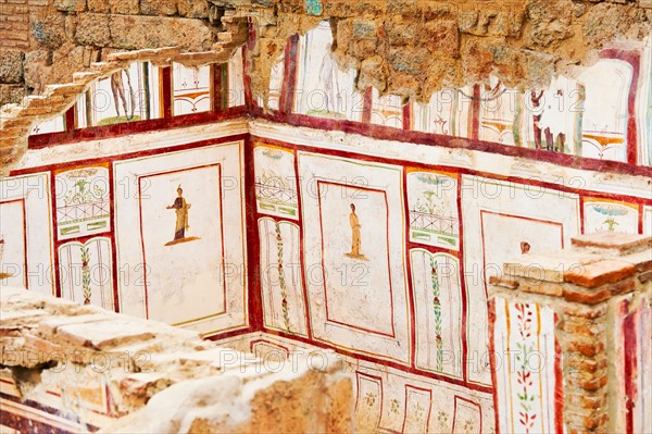 Turkey, Ephesus, Private house murals.