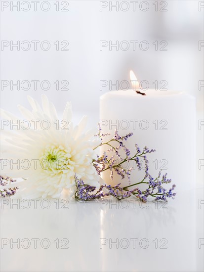 Candle, aster flower and lavender. Photo : Jamie Grill