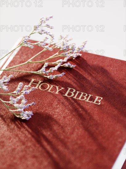 Bible and stem of lavender. Photo : Jamie Grill