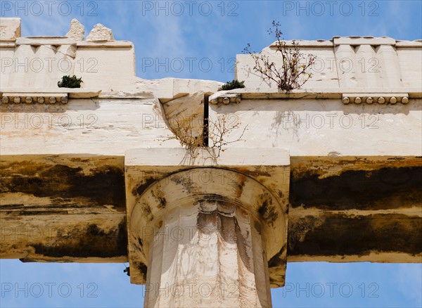 Greece, Athens, Acropolis, Doric column of Propylaea.