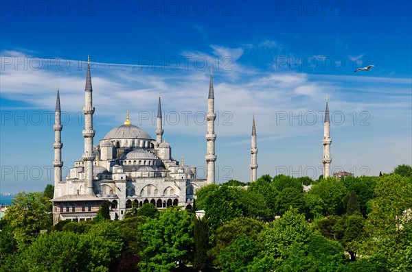 Turkey, Istanbul, Blue Mosque .