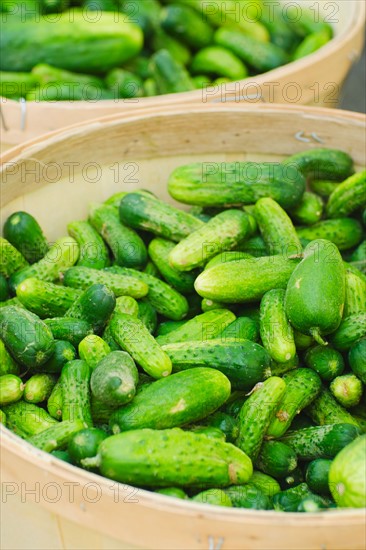 Cucumbers for sale.