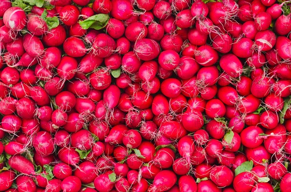 Radishes for sale.