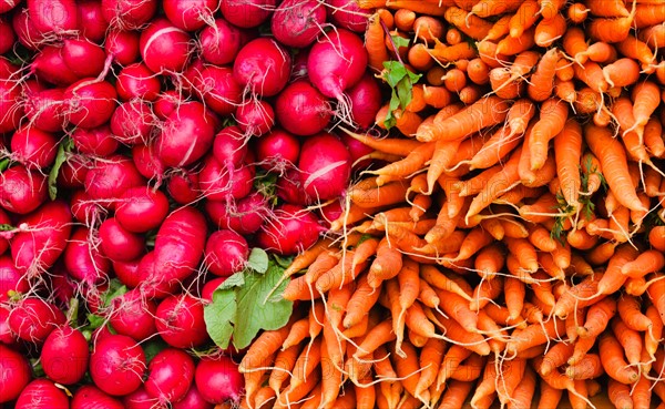 Carrots and radishes for sale.