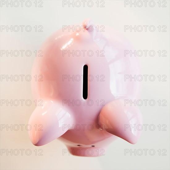 Piggybank, studio shot. Photo : Jamie Grill